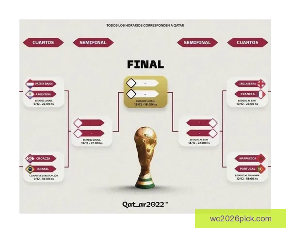 世界杯竞猜赔率全解析及赛果预测指南全面汇总